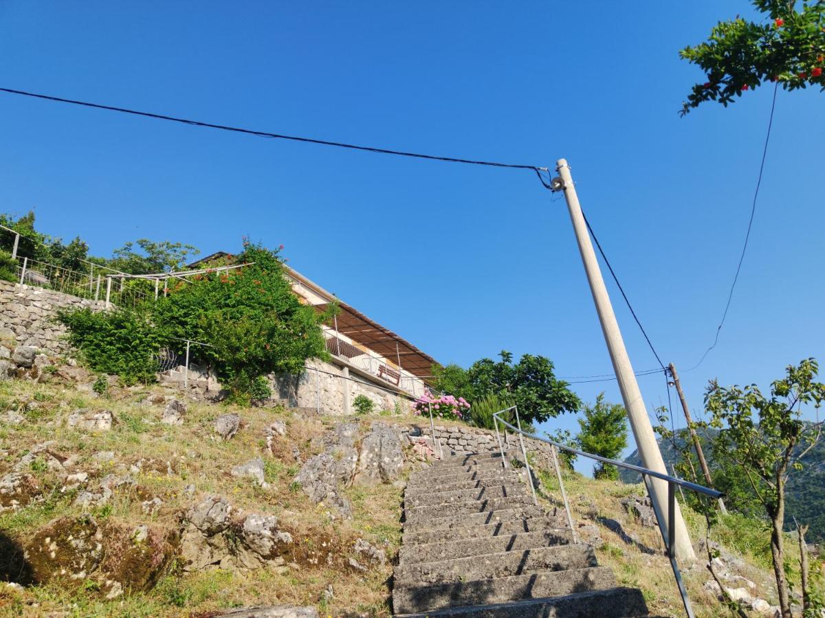 Apartments Lake View Virpazar Zewnętrze zdjęcie